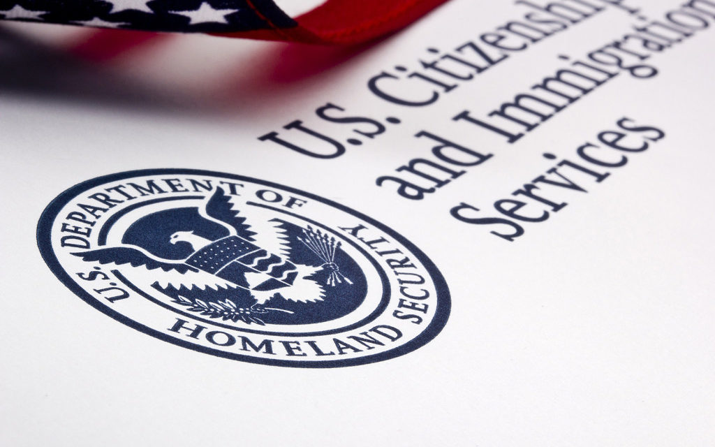 EB2 Treaty Visa Icon